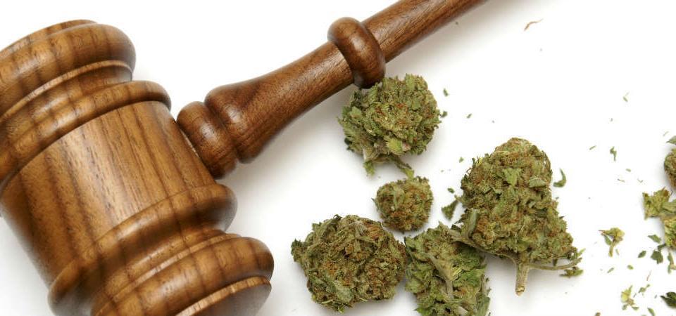 Przestępstwa narkotykowe